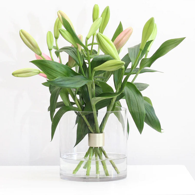 Spiraalvormige stamhouder voor Ikebana